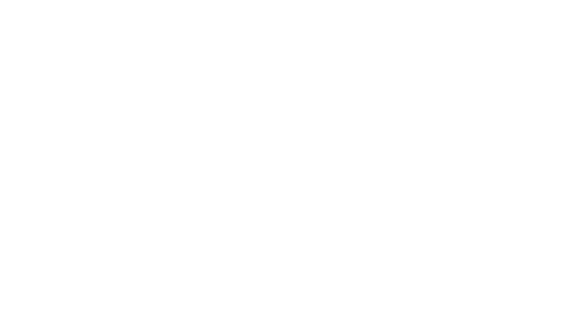Brandy Foods Logo